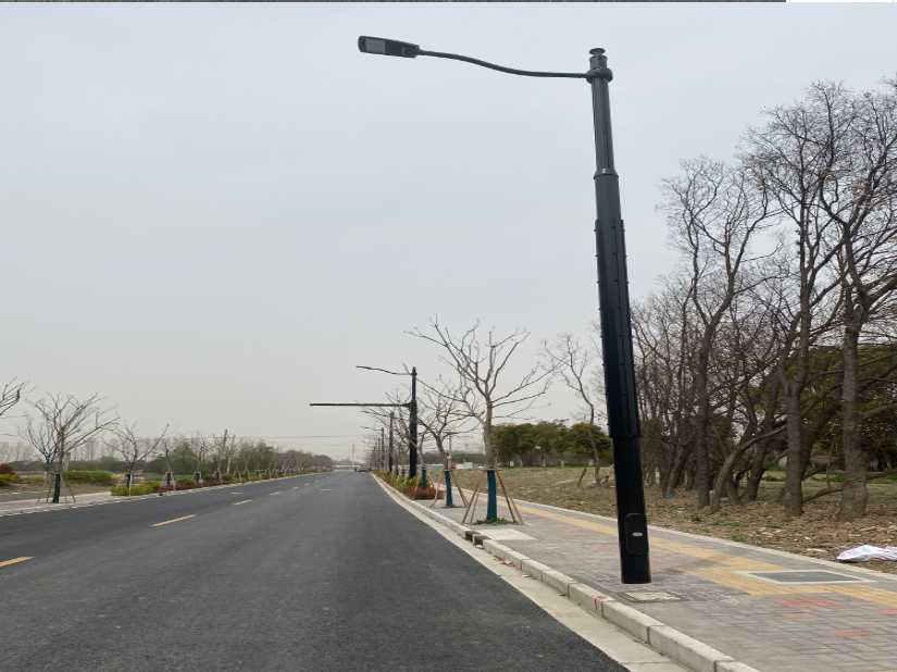 临高县上海综合杆 太阳能路灯工程